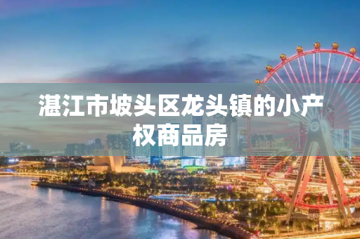 湛江市坡头区龙头镇的小产权商品房