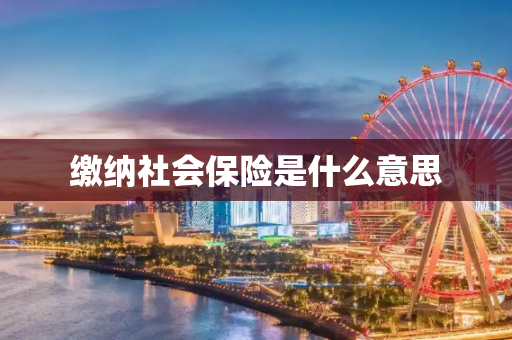 缴纳社会保险是什么意思