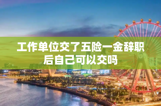 工作单位交了五险一金辞职后自己可以交吗