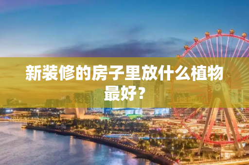 新装修的房子里放什么植物最好？