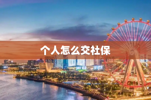 个人怎么交社保