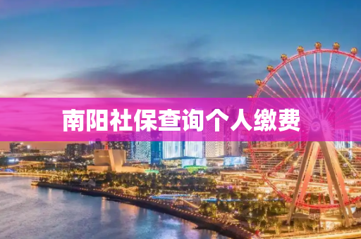 南阳社保查询个人缴费