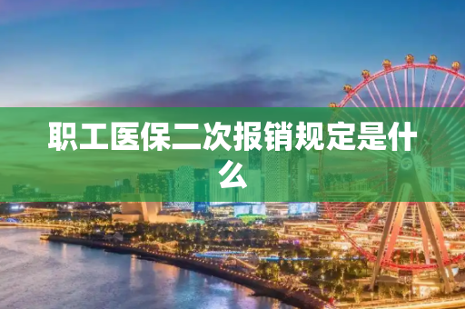 职工医保二次报销规定是什么