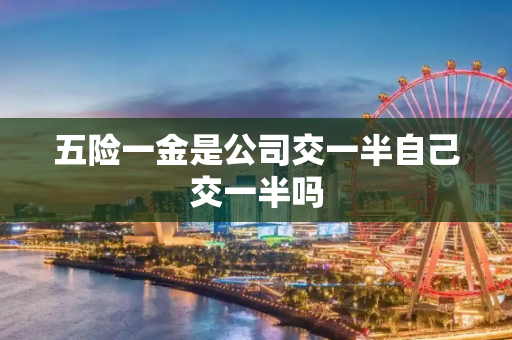 五险一金是公司交一半自己交一半吗