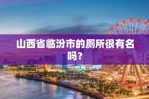 山西省临汾市的厕所很有名吗？