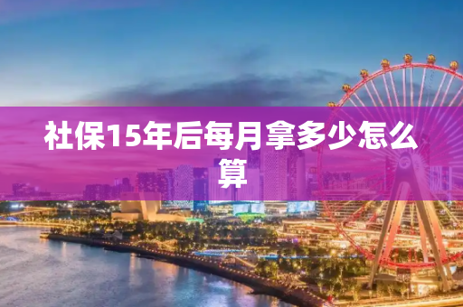 社保15年后每月拿多少怎么算