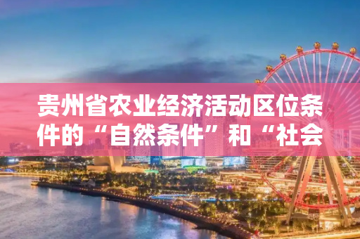 贵州省农业经济活动区位条件的“自然条件”和“社会条件”包括哪些？