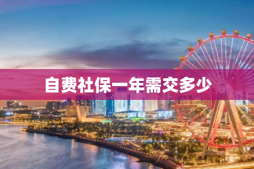 自费社保一年需交多少