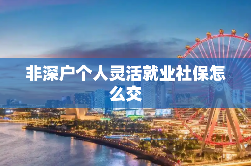 非深户个人灵活就业社保怎么交