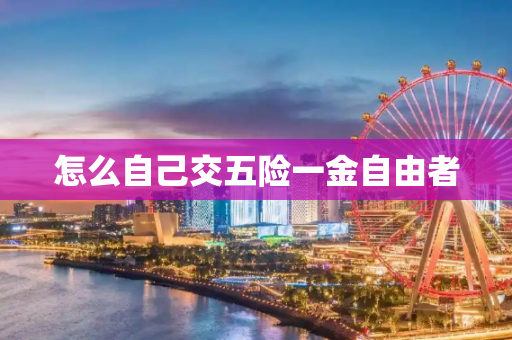 怎么自己交五险一金自由者