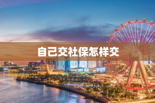 自己交社保怎样交
