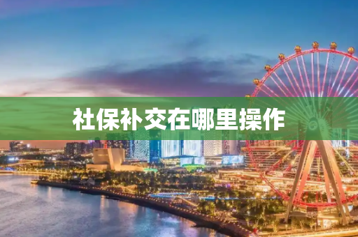 社保补交在哪里操作