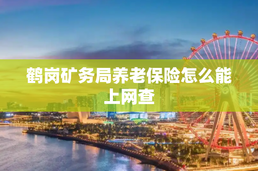 鹤岗矿务局养老保险怎么能上网查