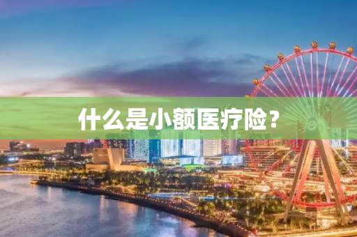 什么是小额医疗险？