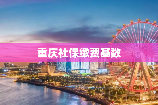 重庆社保缴费基数