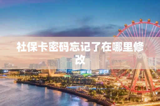 社保卡密码忘记了在哪里修改