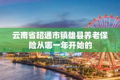 云南省昭通市镇雄县养老保险从哪一年开始的