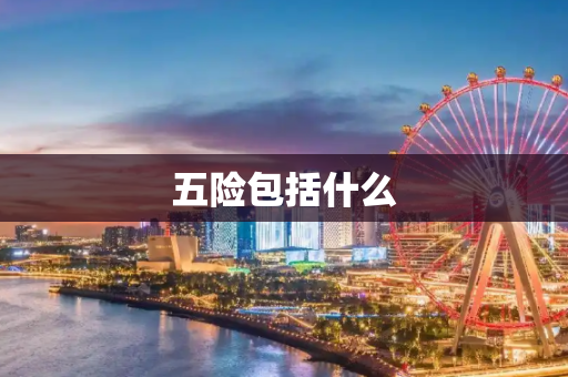 五险包括什么
